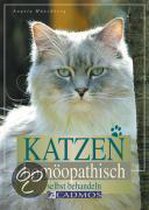Katzen homöopathisch selbst behandeln