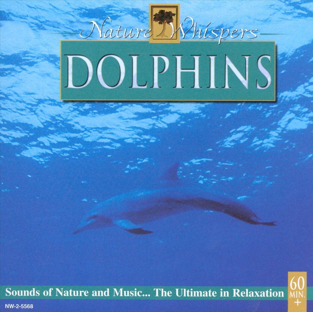 Nature Whispers: Dolphins