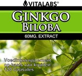 VitaTabs Voedingssupplementen Ginkgo Biloba 60 mg Extract