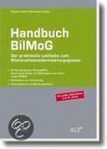 Handbuch Bilanzrechtsmodernisierungsgesetz