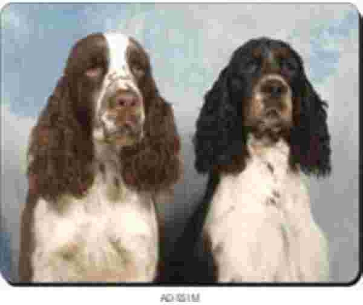 Image of 2 Springer Spaniels Muismat