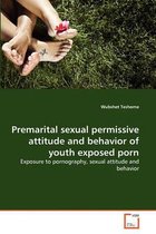 Premarital sexual permissive attitude and behavior of youth exposed porn