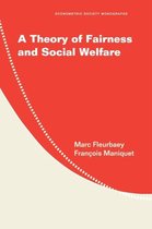 Theory Of Fairness And Social Welfare