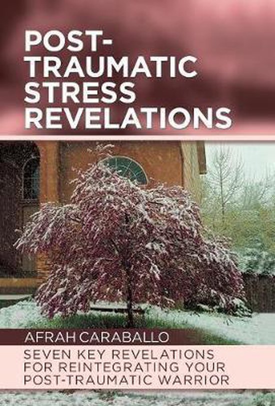 Post-Traumatic Stress Revelations - cover