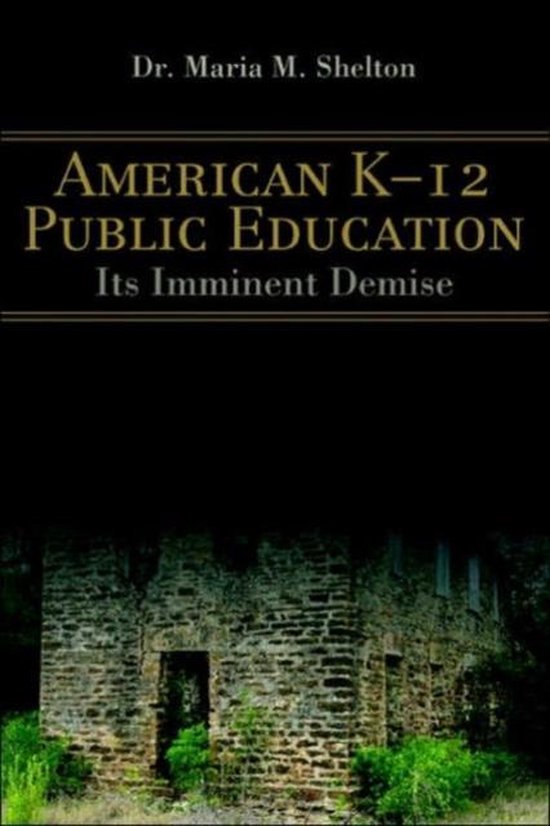 American K12 Public Education 9780595399369 Maria M Shelton