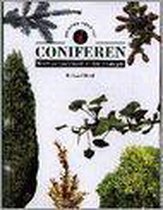 Coniferen planten lijst