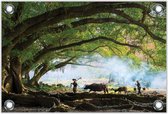 Tuinposter –Aziatische Boer onder een Boom– 90x60cm Foto op Tuinposter (wanddecoratie voor buiten en binnen)