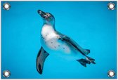Tuinposter –Pinguin– 90x60cm Foto op Tuinposter (wanddecoratie voor buiten en binnen)