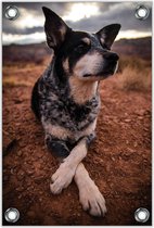 Tuinposter –Rustende Hond– 60x90cm Foto op Tuinposter (wanddecoratie voor buiten en binnen)