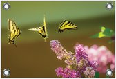 Tuinposter –Drie Gele Vlinders– 90x60 Foto op Tuinposter (wanddecoratie voor buiten en binnen)