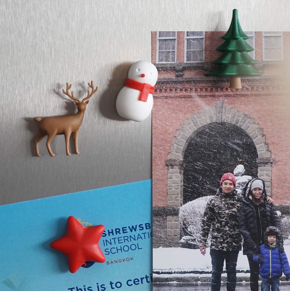 Qualy Winter Wonder Magneten (set Van 4)