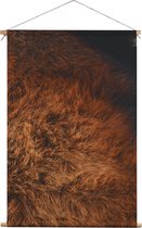 Rode panda vacht | Dieren | Textieldoek | Textielposter | Wanddecoratie | 90CM x 135CM” | Schilderij