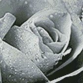 Mix & Match Borduurpatroon Dusty Gray Rose