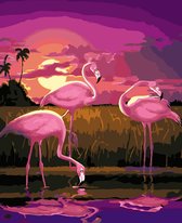 Artstudioclub®  Schilderen op nummer volwassenen 40*50cm  Drie flamingos
