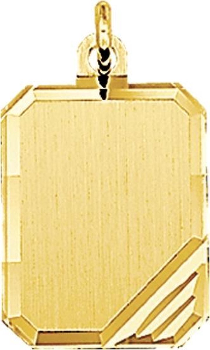 14K Geelgouden graveerhanger mat gediamanteerd - 4018352