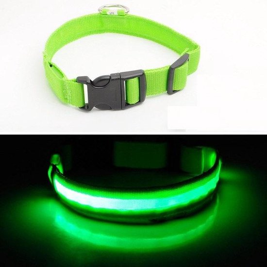 Oeps Realistisch Bewusteloos Lichtgevende Halsband LED-licht op Batterijen voor Hond | Groen Maat S |  Huisdier... | bol.com
