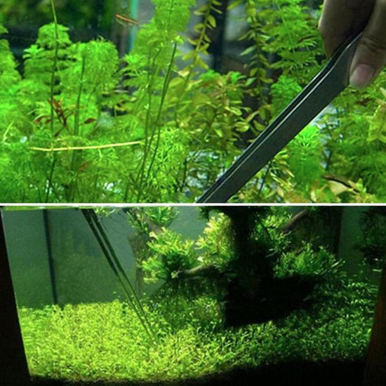 Collectief communicatie hypothese Aquarium pincet: 15x de beste plantenpincet van 2023! [Sale]