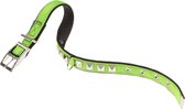 Ferplast Hondenhalsband Dual 37-45 X 2,5 Cm Nylon/staal Groen