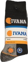 Ivana werksokken - 3-pack - maat 43 - 46