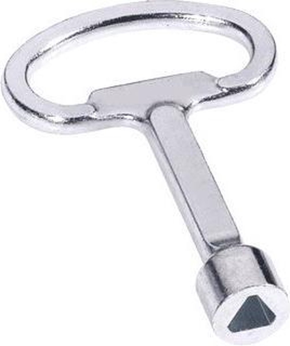 Driehoek paal sleutel T6 | bol.com
