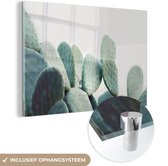 MuchoWow® Glasschilderij 120x80 cm - Schilderij acrylglas - Cactus - Groen - Plant - Natuur - Foto op glas - Schilderijen