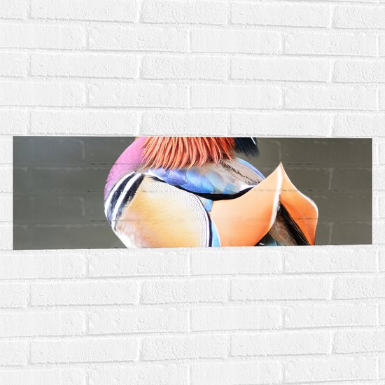 Muursticker - Opzijkijkende Mandarijnen Eend met Prachtige Kleuren - 90x30 cm Foto op Muursticker