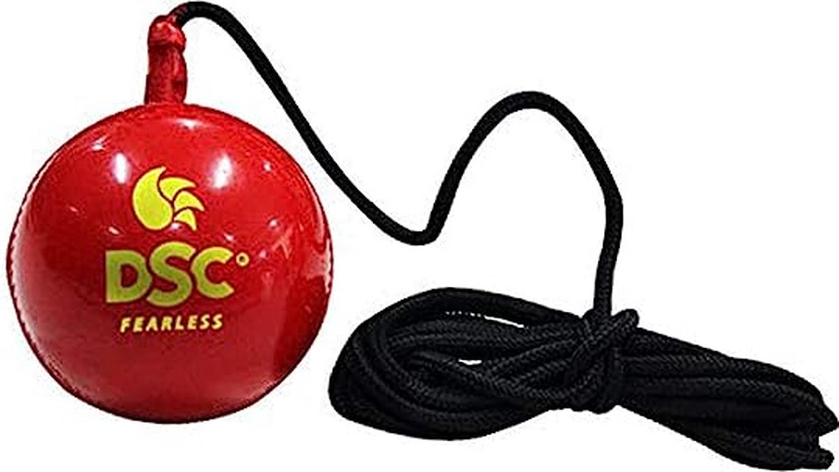 DSC Hangende synthetische cricketbal (rood)