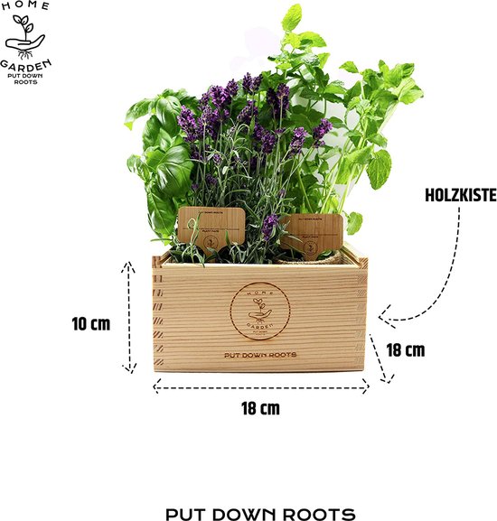 Kit de culture, 4 types, plantes, graines, jardin, kit de démarrage, graines