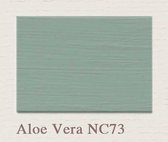 Painting the Past Proefpotje Aloe Vera (NC73) 60 mL