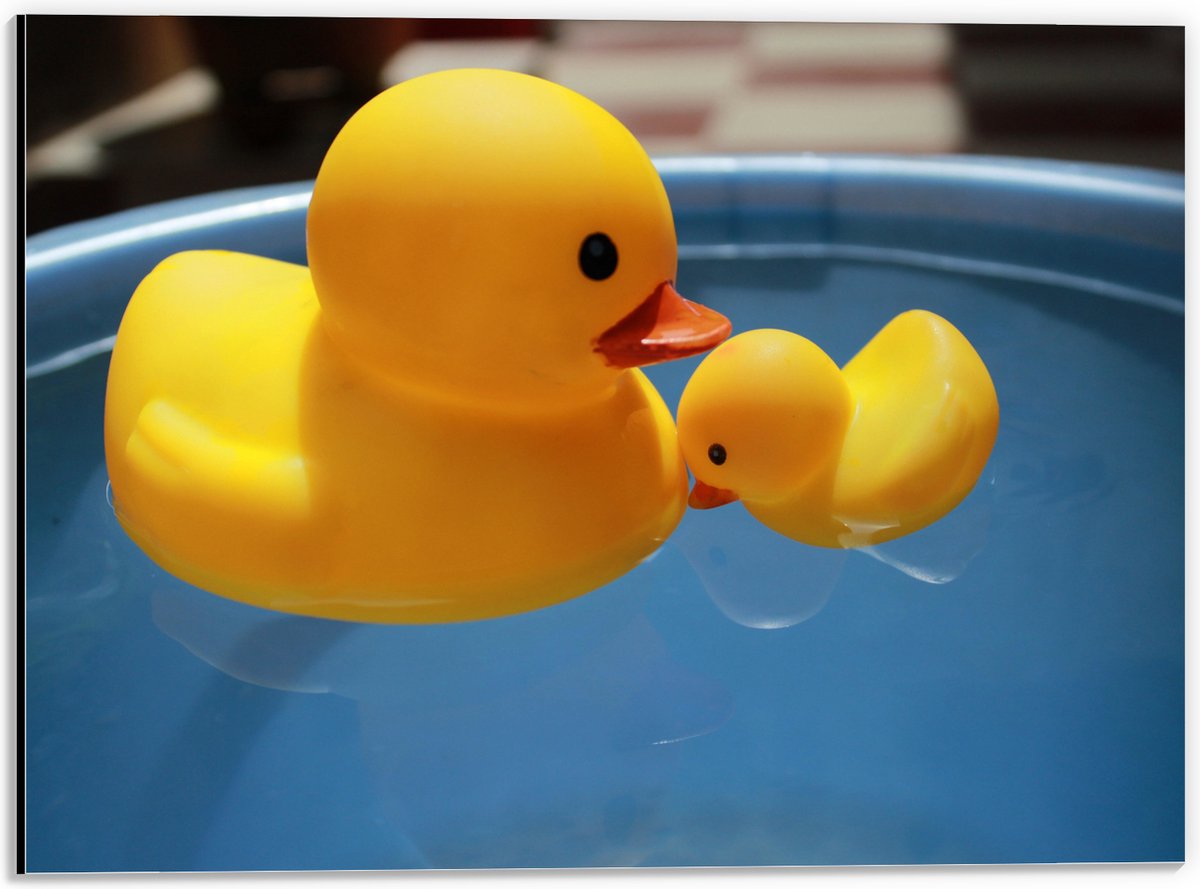 Dibond - Moeder en Baby Badeenden in het Water - 40x30 cm Foto op Aluminium (Wanddecoratie van metaal)