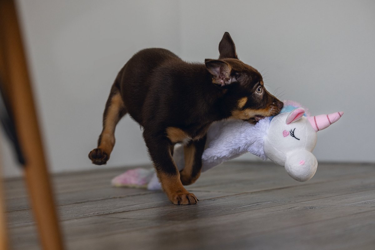 Beeztees Puppy Flatino Unicorn Lo - Puppy Speelgoed - Puppyknuffel - Hondenspeelgoed - Wit 74 x 14 x 15 cm - Hond thumbnail 5