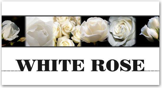 Poster / Papier - Bloemen / Bloem - Collage / Roos / rozen / White Rose in wit / zwart / groen - 40 x 80 cm