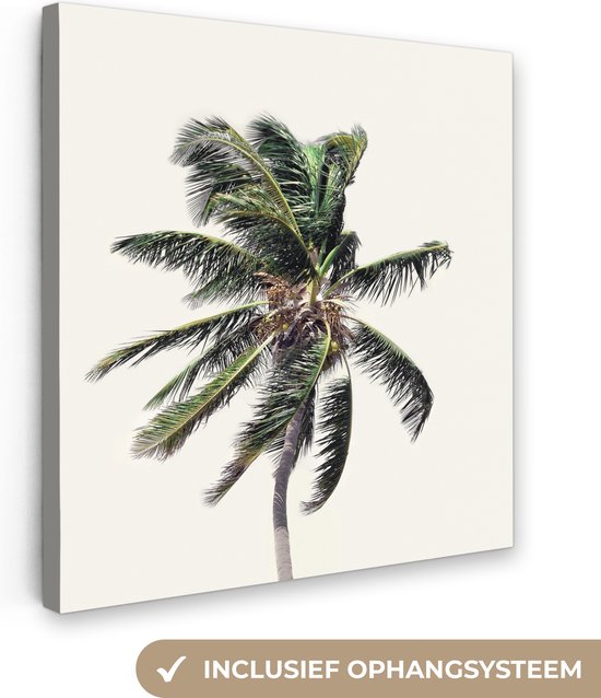 Canvas Schilderij Palmboom - Groen - Natuur - Bladeren - 90x90 cm - Wanddecoratie