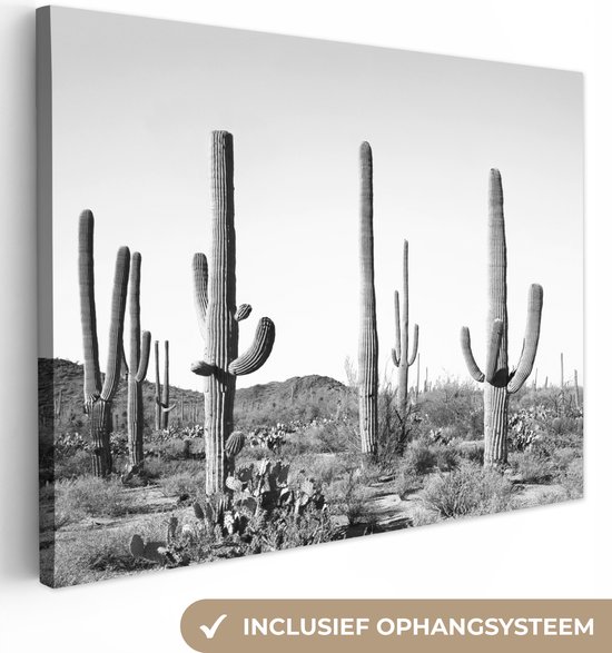 Canvas Schilderij Cactussen - Zwart wit - Natuur - Landschap - 120x90 cm - Wanddecoratie