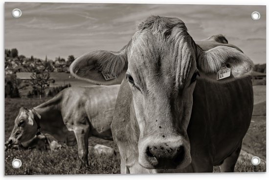 Tuinposter – Portret van Koe in Kudde in het Weiland (Zwart- wit) - 60x40 cm Foto op Tuinposter (wanddecoratie voor buiten en binnen)