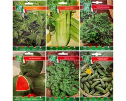 Groene smoothie-zaadpakket - 6 Soorten - Verse munt, Zoete Watermeloen, Spinazie, Mini komkommer, Grote selderij, Peterselie