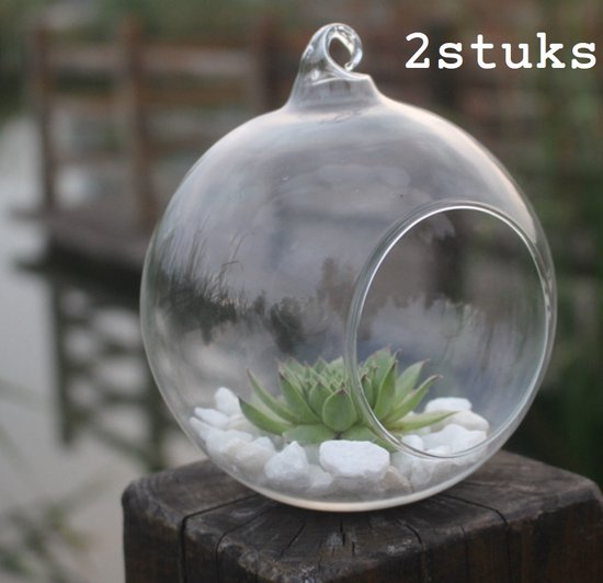 2stuks - Glazen bol- terrarium bol- ornament voor decoratie - hangend
