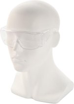 HBM Veiligheidsbril Model 1