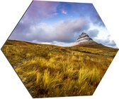 Dibond Hexagon - Kirkjuffel Berg in IJsland - 80x69.6 cm Foto op Hexagon (Met Ophangsysteem)
