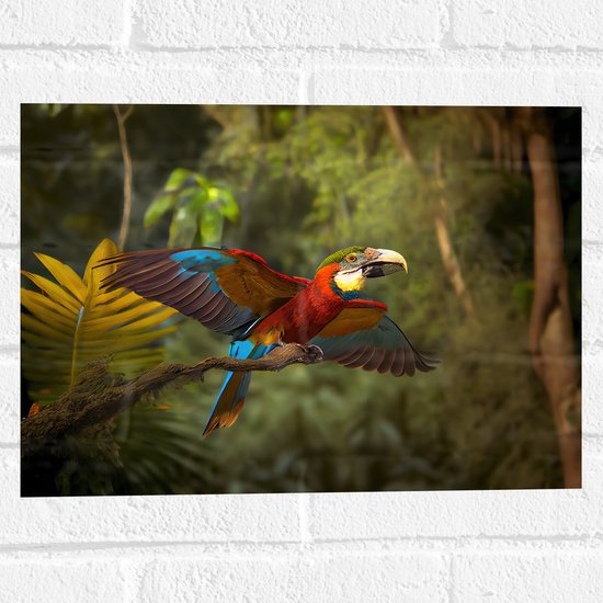 Muursticker - Meerkleurige Are Papegaai Vliegend door Groenkleurig Bos - 40x30 cm Foto op Muursticker