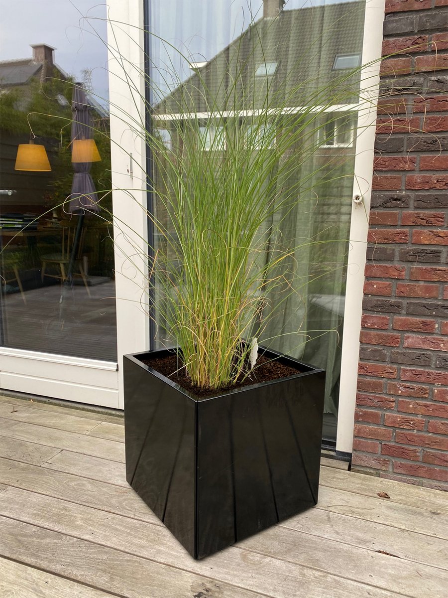 Wovar Plantenbak Zwart Verzinkt Staal 50 x 50 x 50 cm | Bloembak