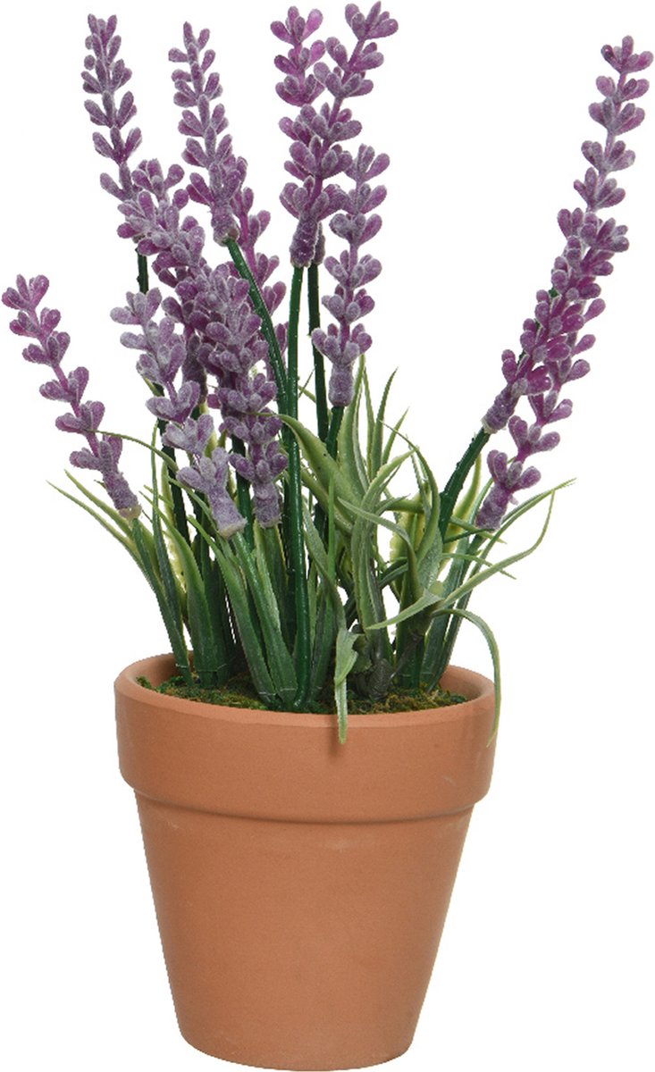 Everlands Lavendel kunstplant in terracotta pot - paars - D6 x H18 cm