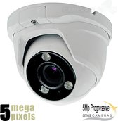 Beveiligingscamera - Dome Camera 4 in 1 - 5 Megapixel - Zeer Scherp Helder Beeld - Motorzoomlens - Nachtzicht 40 meter - Buiten Camera - BLC - DWDR - Ruisreductie 2DNR