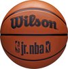 Wilson NBA Jr DRV Fam Logo Ball WZ3013001XB, Unisex, Oranje, basketbal, maat: 5