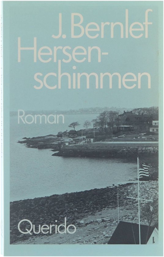 Hersenschimmen - J. Bernlef - Paperback