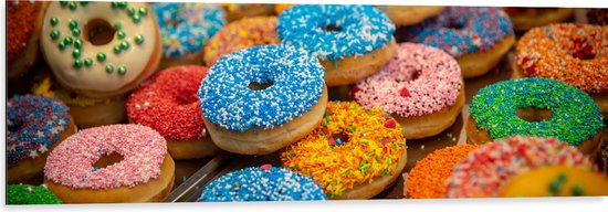 Dibond - Rij Verse Donuts met Verschillende Kleuren Sprinkles - 120x40 cm Foto op Aluminium (Wanddecoratie van metaal)