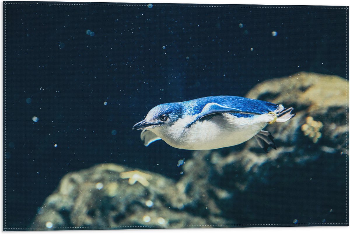 Vlag - Zwemmende Blauwe Pingïun door Aquarium - 60x40 cm Foto op Polyester Vlag