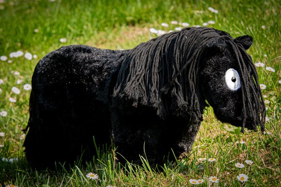 Zwarte knuffelpony met lange zwarte manen en staart, in gras met madeliefjes.