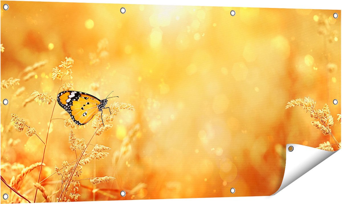 Gards Tuinposter Oranje Vlinder in het Oranje Veld - 120x60 cm - Tuindoek - Tuindecoratie - Wanddecoratie buiten - Tuinschilderij Multikleur
