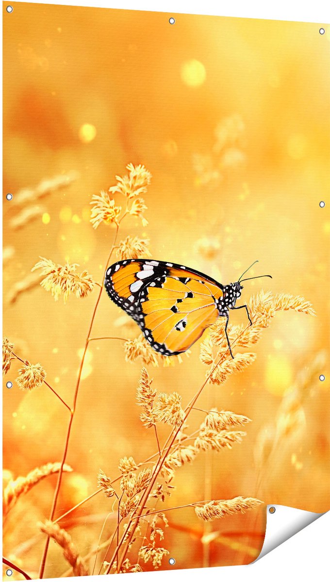 Gards Tuinposter Oranje Vlinder in het Oranje Veld - 100x150 cm - Tuindoek - Tuindecoratie - Wanddecoratie buiten - Tuinschilderij Multikleur